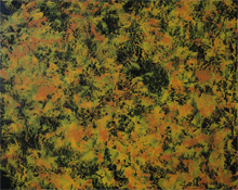 November by Bruce Mitchell November by Bruce Mitchell