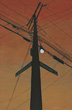 Telephone poles